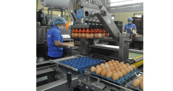 Để đón “sóng” đầu tư ngoại bền vững