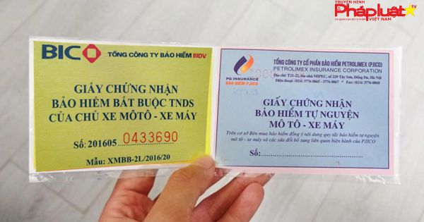 Bản tin thị trường tiêu dùng- Số 45
