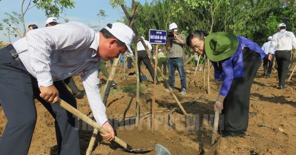 TP Hồ Chí Minh phát động Tết trồng cây đời đời nhớ ơn Bác Hồ