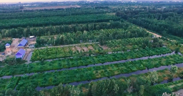 Bất động sản Tây Sài Gòn đón cơ hội từ phát triển công nghiệp