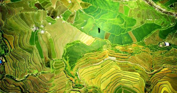 Tây Bắc đẹp mơ màng trong mùa nước đổ