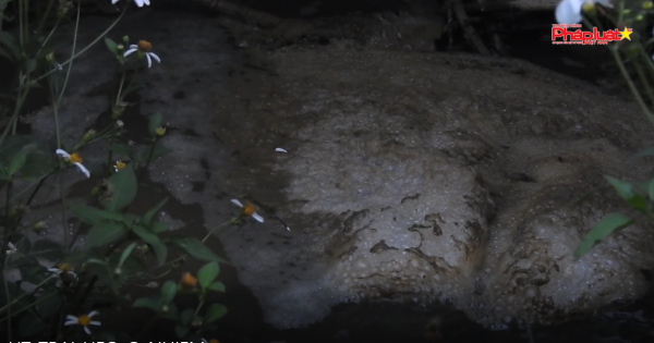 Trại heo tại Hương Khê – Hà Tĩnh: Tăng gia sản xuất hay “giết mòn” người dân?