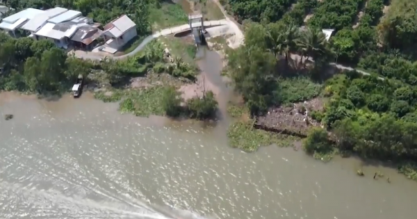 Vĩnh Long: Gần 18.000 ha lúa và cây ăn trái thiệt hại do hạn mặn