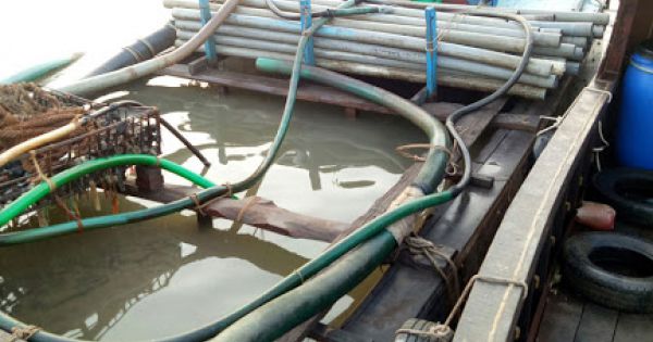 Ghe gỗ biển số Campuchia hút trộm cát trên sông Tiền