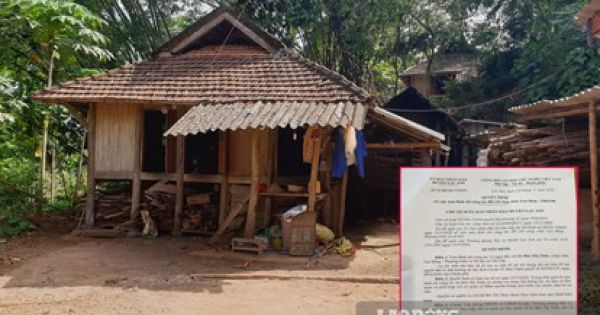 Chi trả hỗ trợ COVID-19 sai đối tượng ở Hòa Bình: 4 cán bộ bị đình chỉ công tác