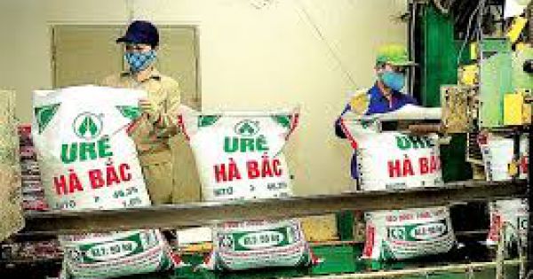 Chuyển cơ quan điều tra các vi phạm có dấu hiệu hình sự tại Công ty Đạm Hà Bắc