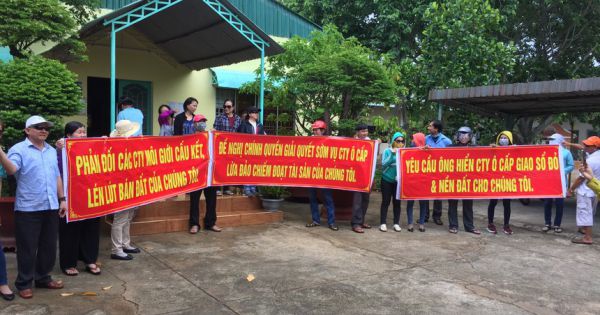 Khởi tố Chủ tịch HĐQT Công ty CP phát triển nhà Ô Cấp