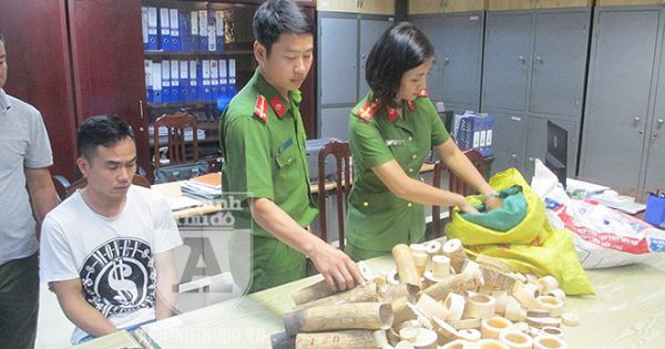 Phát hiện 2 cơ sở kinh doanh sản phẩm có nghi vấn chế tác từ ngà voi