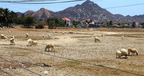 Nam Trung bộ thiếu nước