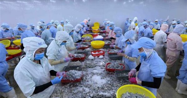 Quảng Ninh: Hầu hết doanh nghiệp chưa tiếp cận được nguồn hỗ trợ khó khăn do dịch