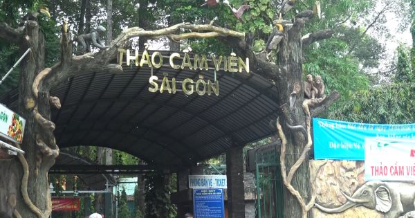 TP HCM: Gia đình đưa trẻ đi vui chơi ngày Quốc tế Thiếu nhi 1/6