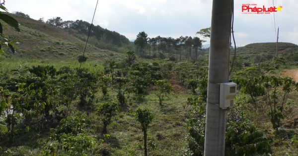 Kỳ 2: Lâm Đồng: Hai cấp tòa án đùn đẩy trách nhiệm thụ lý vụ án