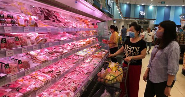 Xây dựng sàn giao dịch heo, tái cơ cấu ngành chăn nuôi