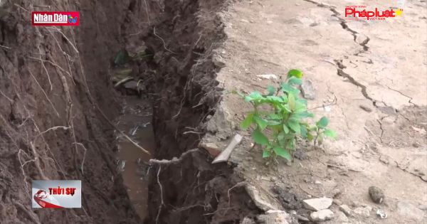 70 tỷ đồng xử lý khẩn cấp sạt lở bờ sông Hậu