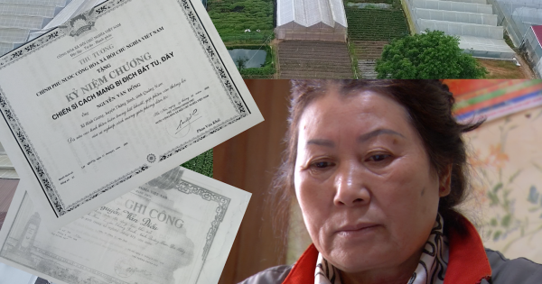 Lâm Đồng: Những bản án “vô tình” đẩy một gia đình vào bi kịch