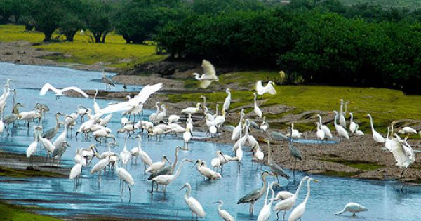 Việt Nam lọt top 16 quốc gia có tính đa dạng sinh học cao trên thế giới