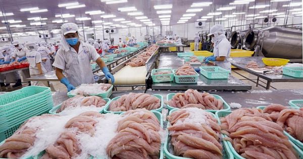 Xuất khẩu thủy sản dự báo tăng từ tháng 6, nhưng không đột biến