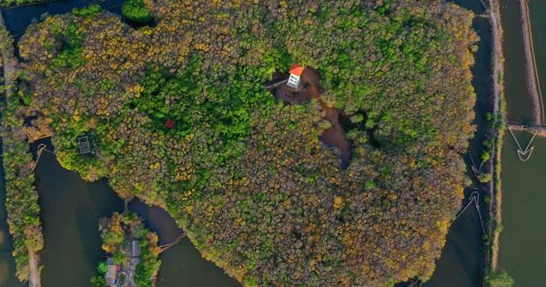 Chính thức thành lập Khu bảo tồn thiên nhiên Tam Giang - Cầu Hai