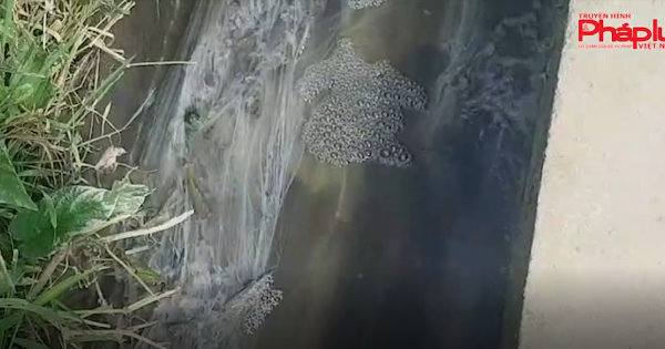 Hòa Bình: Người dân bức xúc vì trang trại gây ô nhiễm môi trường