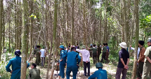 Khởi tố vụ án bé trai 5 tuổi chết trong rừng ở Nghệ An