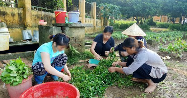 Nhiều mô hình cai nghiện hiệu quả