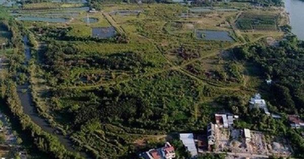 TP HCM: Khởi tố 3 người liên quan đến sai phạm tại Công ty Tân Thuận