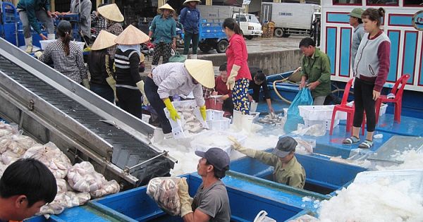 Doanh nghiệp thủy sản bức xúc bị 