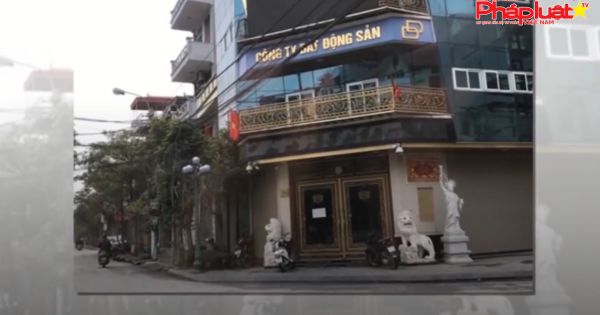 Thanh tra toàn bộ các cuộc đấu giá đất có sự tham gia của vợ chồng Đường 'Nhuệ'