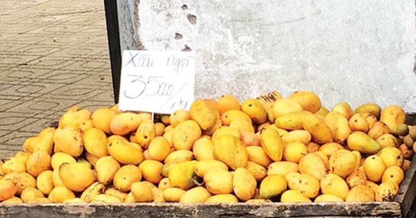 Xoài mini Trung Quốc đội lốt hàng Việt đổ bộ chợ TP.HCM