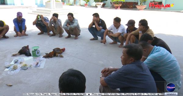 An Giang: Bắt giữ 20 đối tượng đá gà, lắc tài xỉu ăn tiền