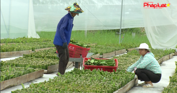 Lừa đảo hay chiêu trò kinh doanh