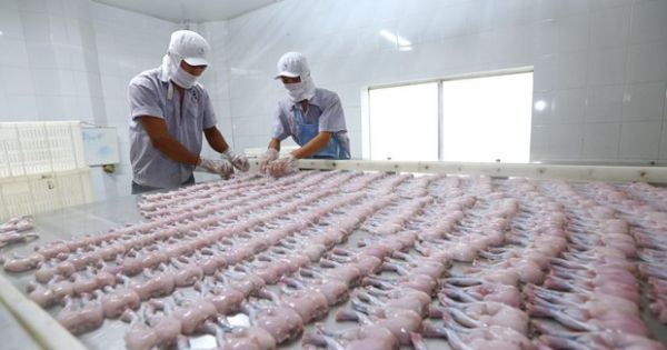 EVFTA chính thức có hiệu lực từ ngày 1/8