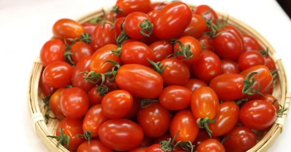 Phiên chợ nông sản an toàn thực phẩm 2020 lần đầu tiên diễn ra tại TPHCM