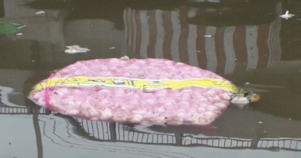 Đồng Tháp: Vứt hàng trăm bao tỏi có nhãn Trung Quốc xuống sông