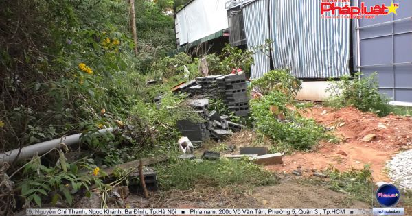 Kỳ 1: LÂM ĐỒNG: Một bản án đúng pháp luật, đầy tính nhân văn nhưng ... bị từ chối!