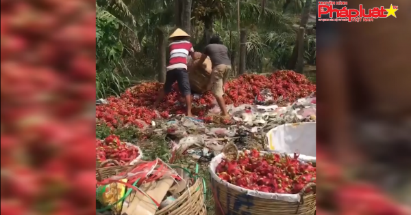 Kỳ 2: Có hay không việc hình sự hóa tranh chấp dân sự trong hợp tác kinh doanh của doanh nghiệp?