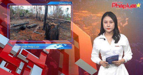 Bản tin Pháp luật 13/07