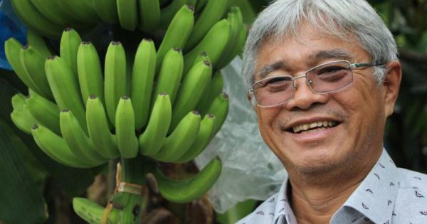 Bất chấp Covid-19, rau quả Việt Nam vẫn mở mới được nhiều thị trường