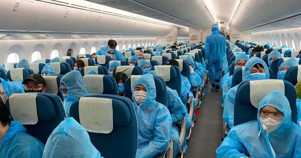 4 phương án đưa người Việt từ Guinea Xích đạo - châu Phi về nước