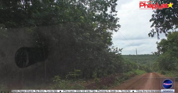 Bình Phước: Gần 30 năm đi khiếu kiện, hai lần giám đốc thẩm vẫn chưa đòi được đất đã mua