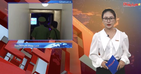 Ninh Bình: Kết quả công tác 06 tháng đầu năm 2020 của lực lượng CSĐT tội phạm về ma túy