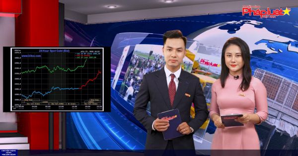 Bản tin chuyển động cùng Truyền hình Pháp luật ngày 29/07/2020