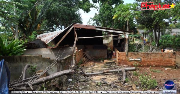 Đồng Nai: Cần xác định rõ tài sản chung, riêng để thi hành án đúng pháp luật