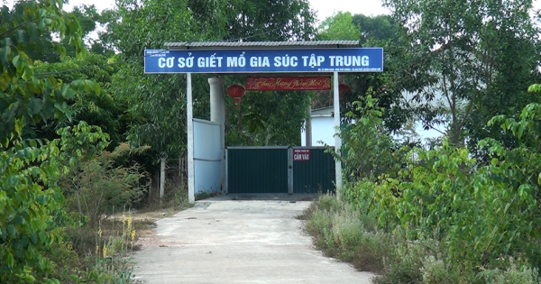 Hà Tĩnh: Bi đát cơ sở giết mổ gia súc được đầu tư tiền tỉ, “Mọc toàn cỏ dại”