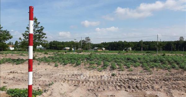 Thành lập Ban Chỉ đạo tổng kết thi hành Luật Đất đai và xây dựng Dự án Luật Đất đai