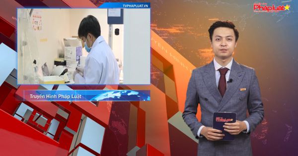 Bản tin Sống Cùng Đại Dịch ngày 11/08/2020