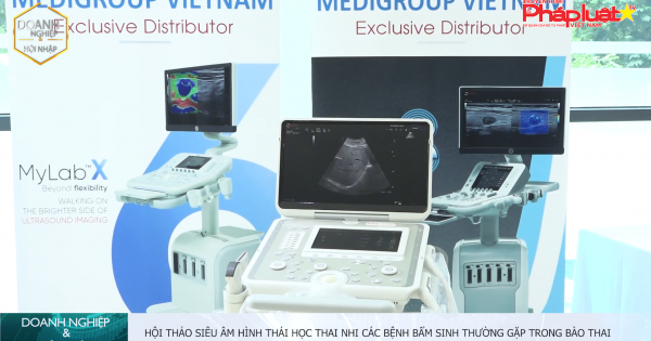 Hội thảo siêu âm hình thái học thai nhi các bệnh bẩm sinh thường gặp trong bào thai