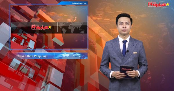 Bản tin Sống Cùng Đại Dịch ngày 13/08/2020