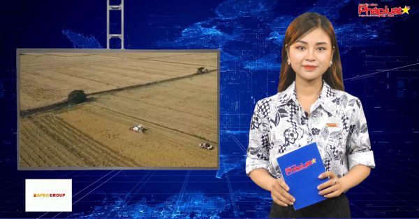 Bản tin “Doanh nghiệp 24h”