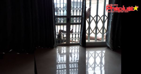 Lào Cai: Nhóm đòi nợ thuê vây nhà bà lão 63 tuổi